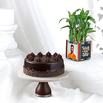Truffle Bento Cake N Bamboo Plant Combo-picture-45