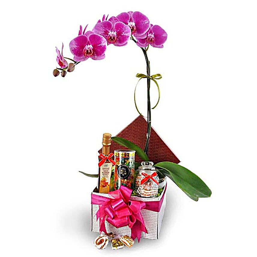 Phalaenopsis Flowers With Halal Food Treats:Send Orchid Flowers to Malaysia