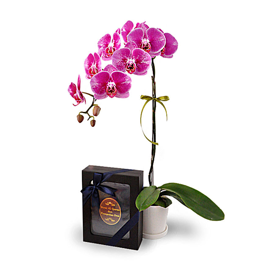 Halia Orchid Phalaenopsis With Buku Doa AlQuran:Send Orchid Flowers to Malaysia