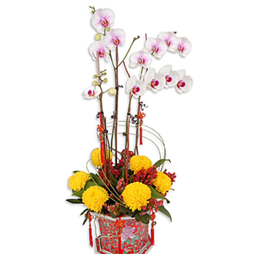 Joyous Longevity New Year Floral Gift:Plant Delivery in Malaysia