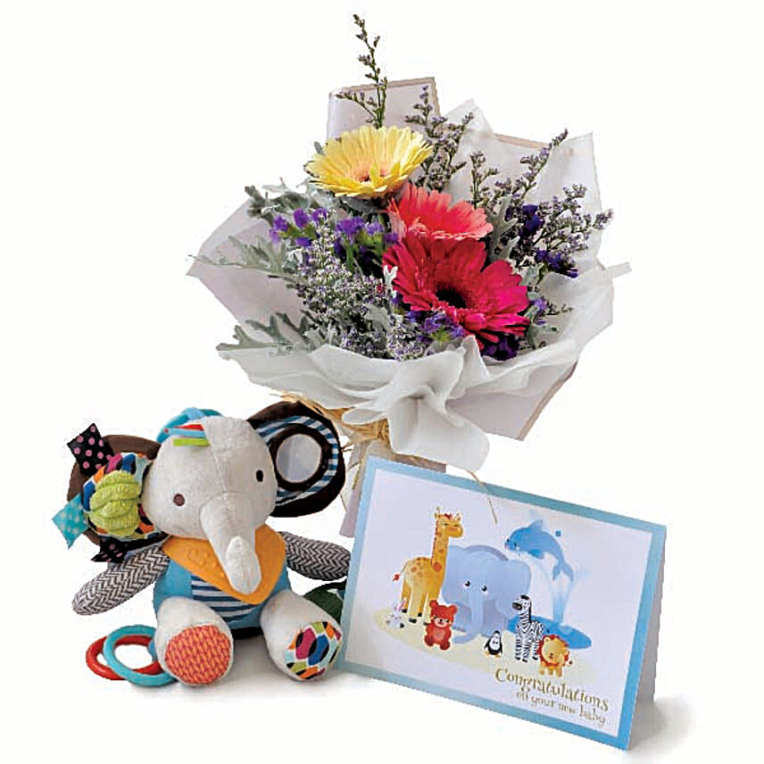 Baby Elephant Rattle And Personalised Baby Congrats Card