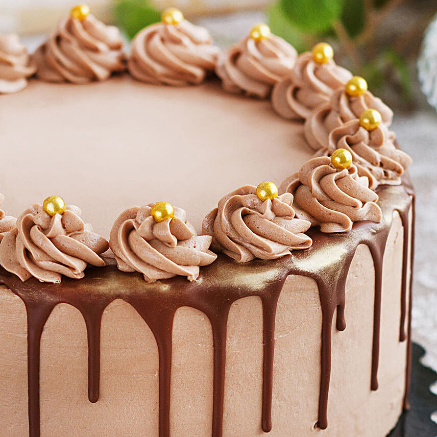 Chocolate Fudge Cake Half Kg