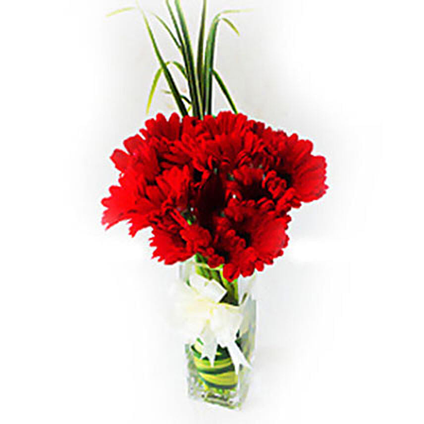 Sizzling Red Gerberas