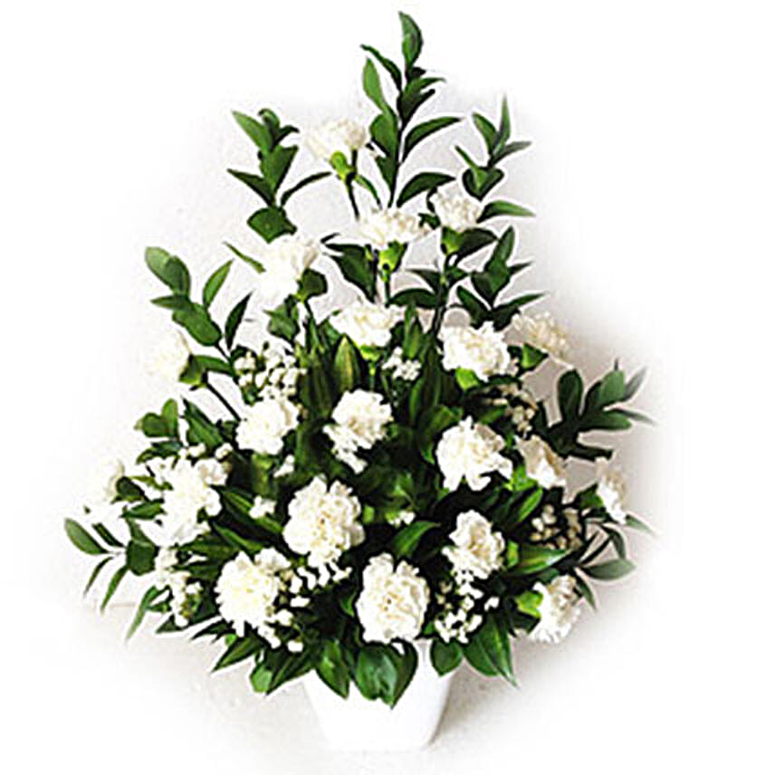 White Carnations In A Vase