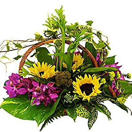 Mixed Flowers Special:Send mixed Flowers to Malaysia