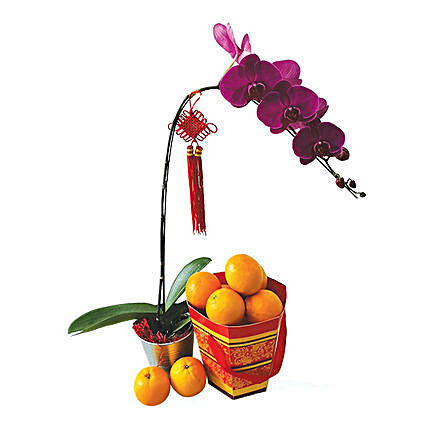 Floral Luck Oranges Box:Gift Hampers to Malaysia