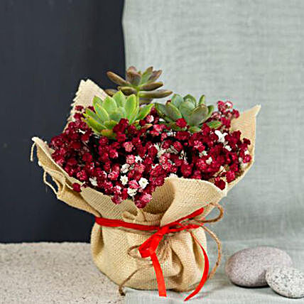 Starry Cupcake Bouquet:Send Flower Bouquet to Malaysia