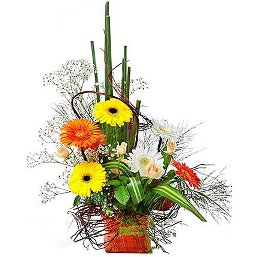 Colorful Greetings
