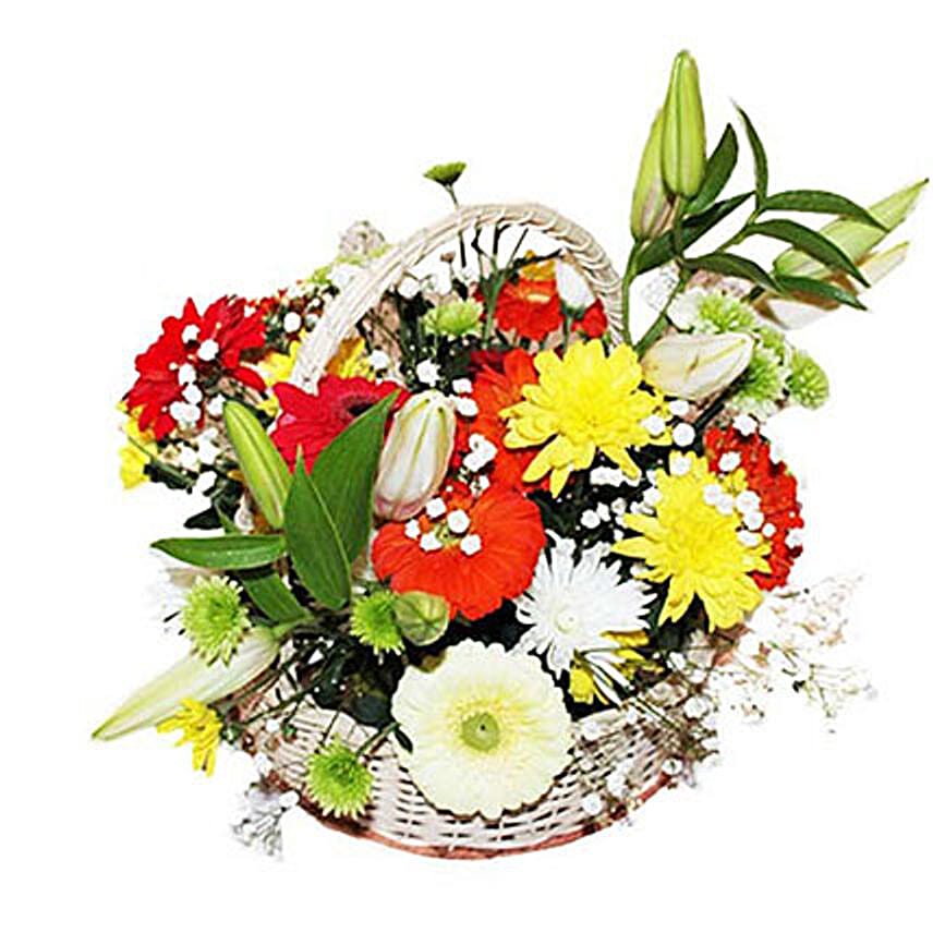 Lilies Splendor