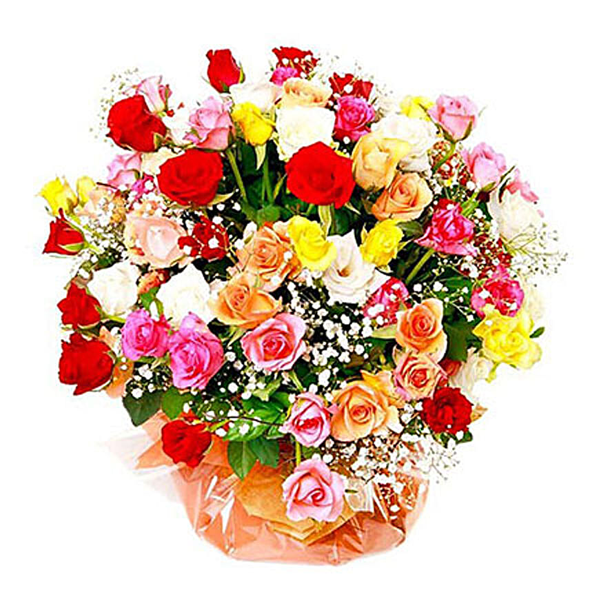 Multicolored Roses