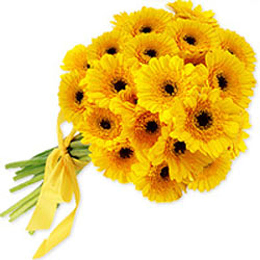 Sunshine Love-mor