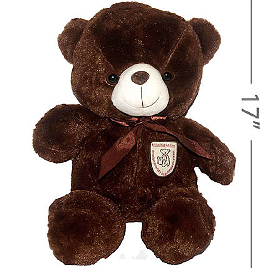Dark Brown Soft Teddy Bear 17 Inch