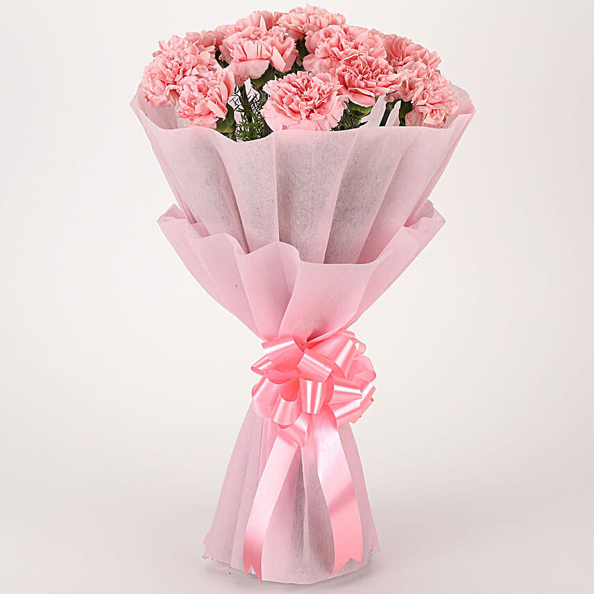 Pretty Pink Carnations Bouquet