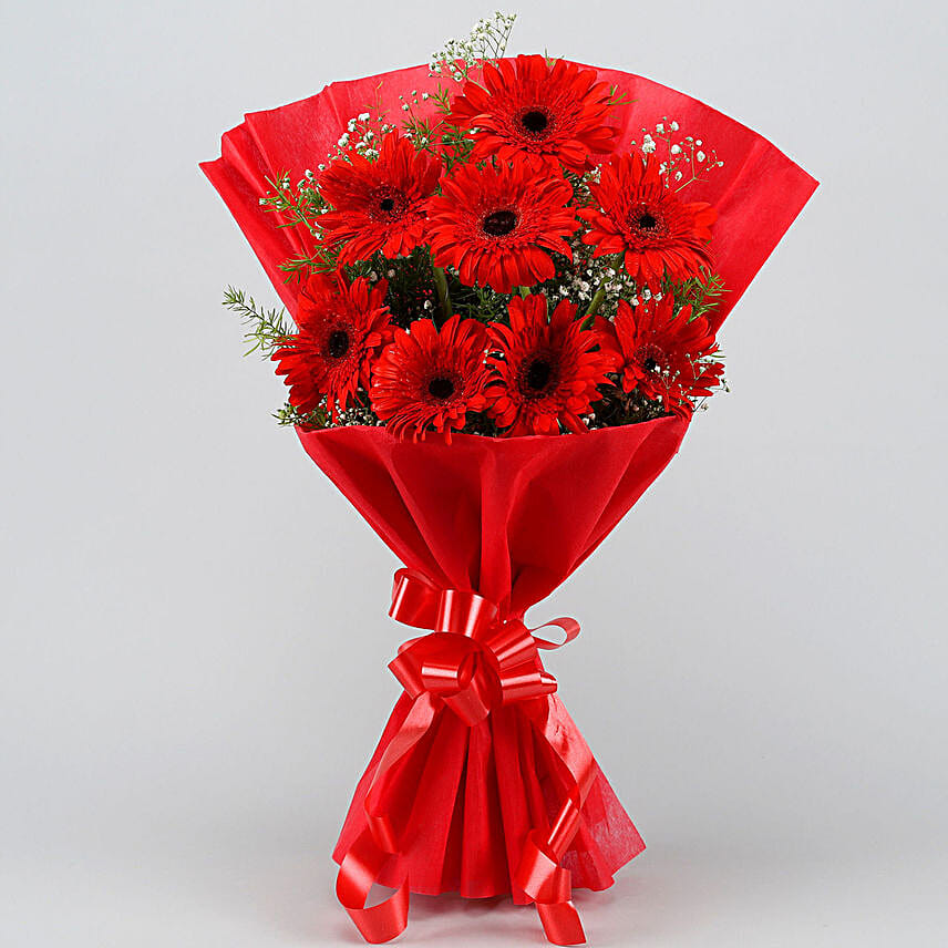 Red Elegance Gerbera Blossoms