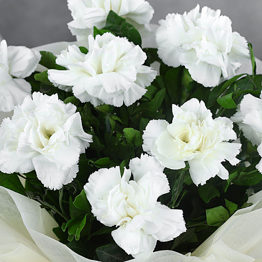 8 White Carnations Bouquet Small
