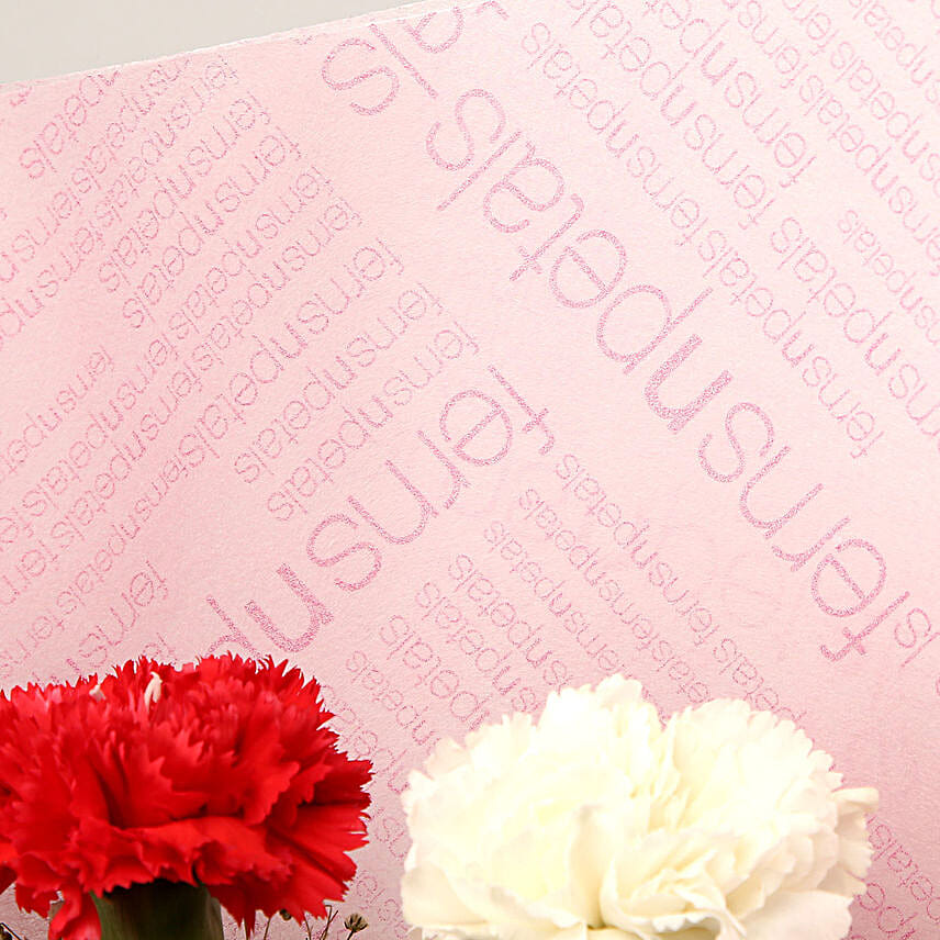 Authentic Feelings Carnations Bouquet