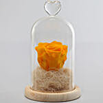 Forever Sunny Yellow Rose in Glass Dome nepal | Gift Forever Sunny ...