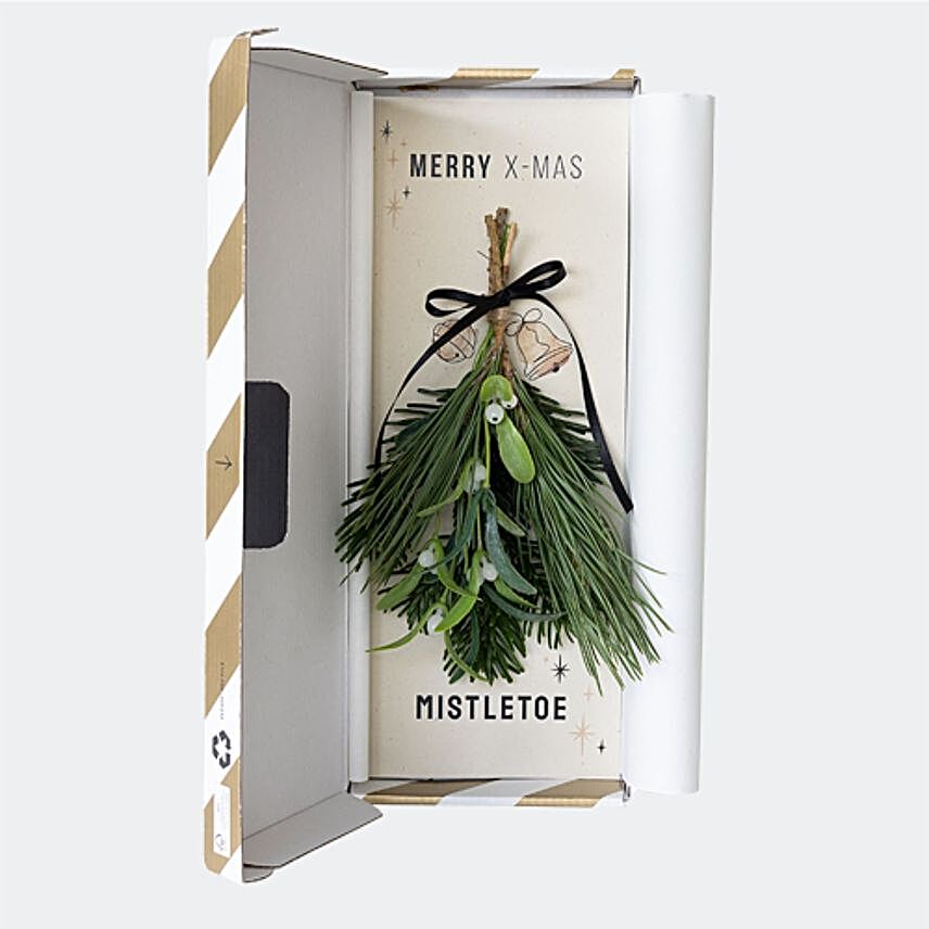 Mailbox Mistletoe:Christmas Gift Delivery in Netherlands