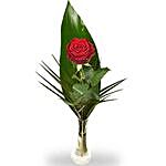 Romance Of A Rose