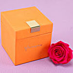 Hot Pink Forever Rose in Orange Box
