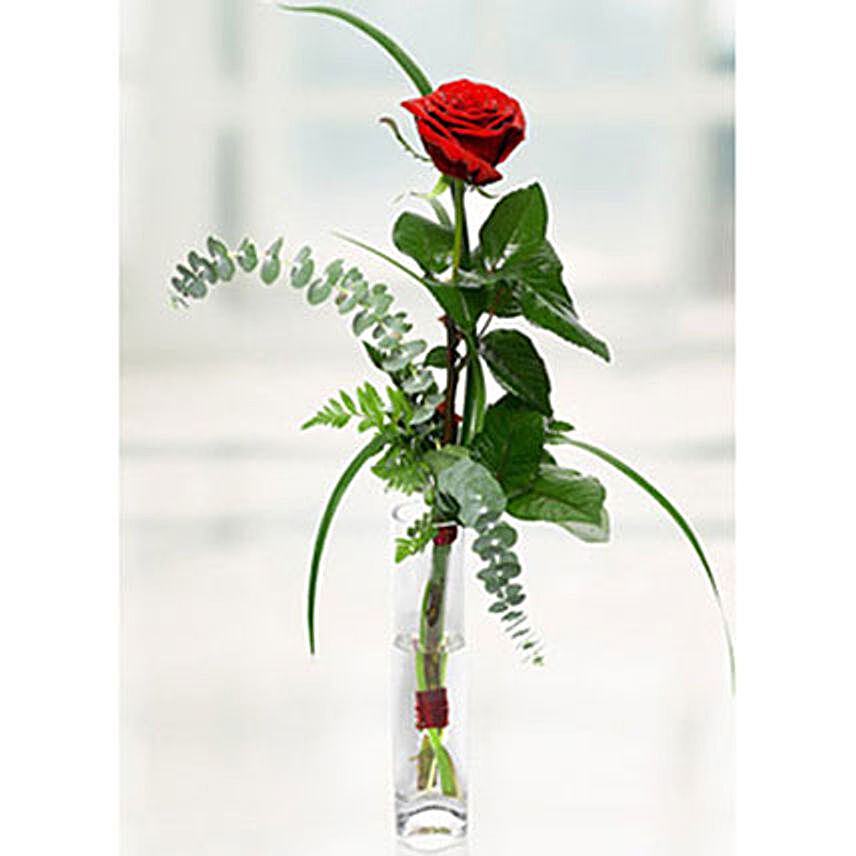 Imported Rose In Vase