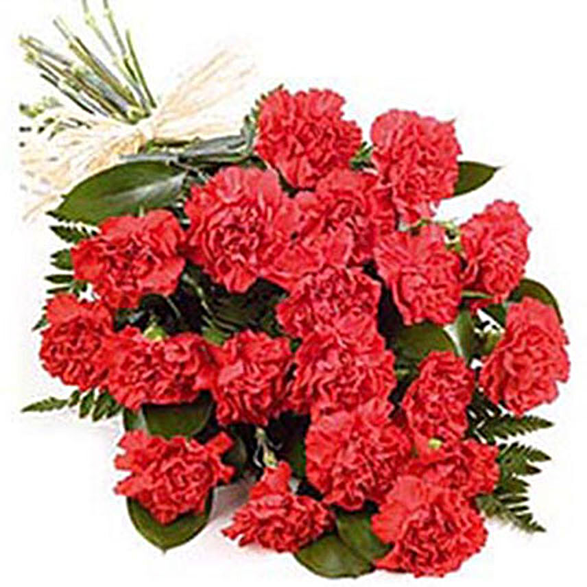 Passionate Love:Carnations Flowers Delivery Philippines
