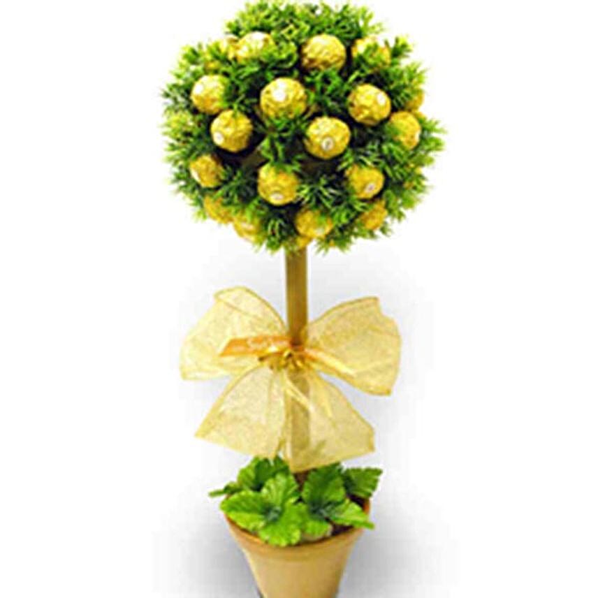 Gift Ferrero Rocher Plant FNP