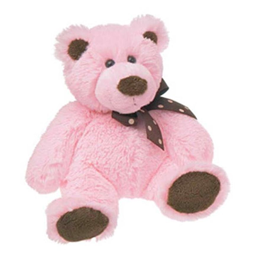 Pink Teddy With Brown Details:Soft toys to Philippines