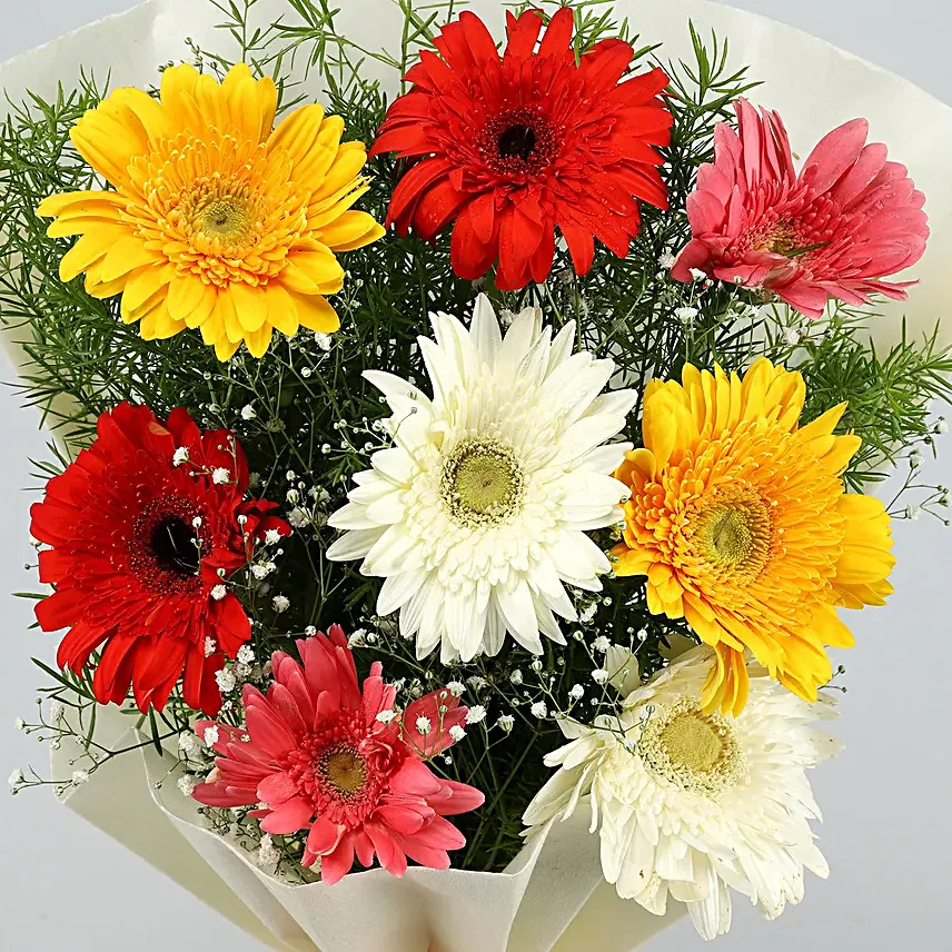 6 Mixed Brilliance Gerbera Blossoms