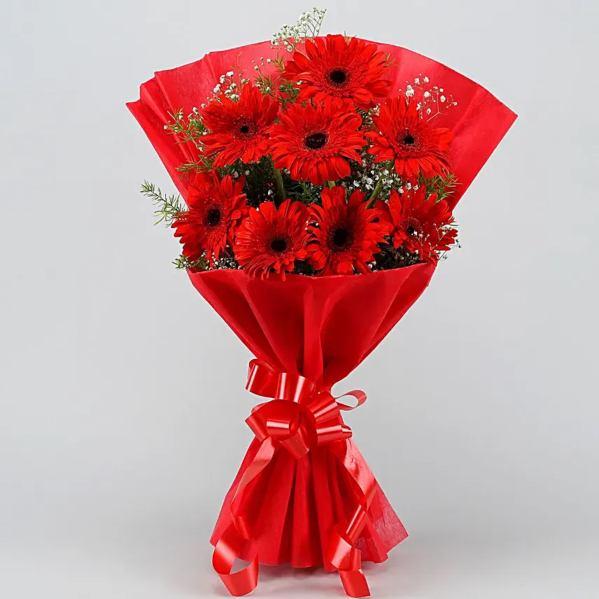 6 Red Elegance Gerbera Blossoms