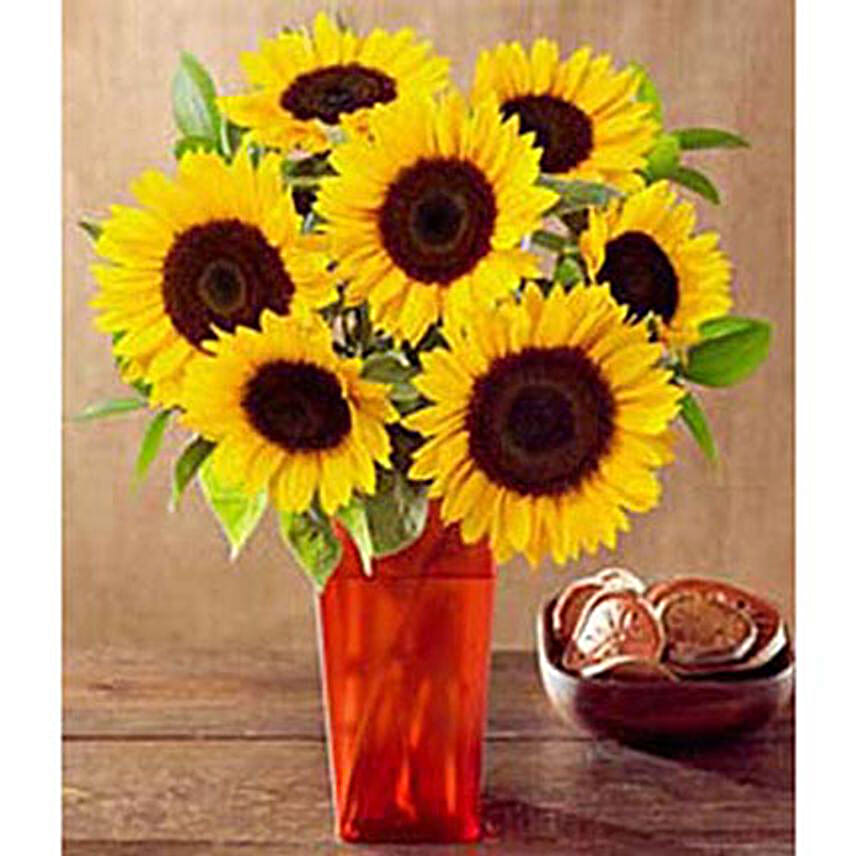 A Ray Of Sunshine