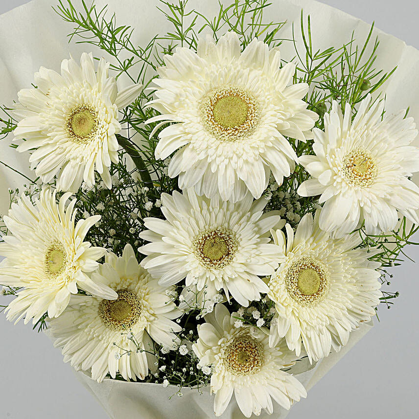 Beautiful 6 White Gerbera Bouquet