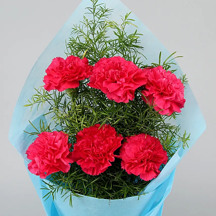 Eternal Pink 3 Carnations Bunch