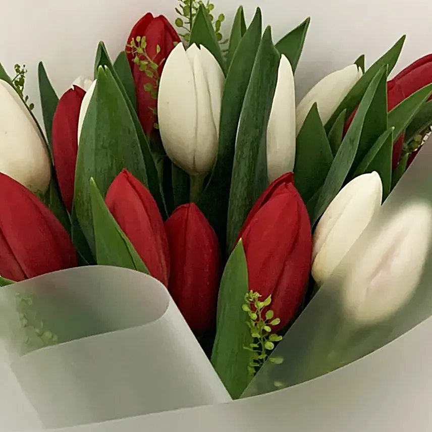 Graceful Red And White Tulips Posy