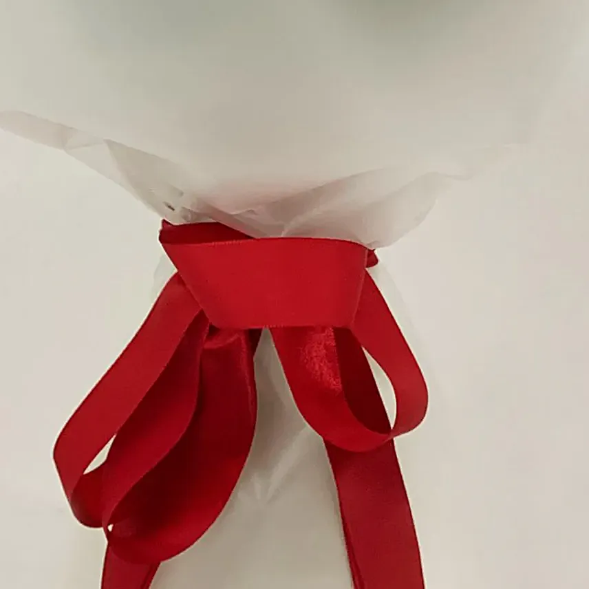 Graceful Red And White Tulips Posy
