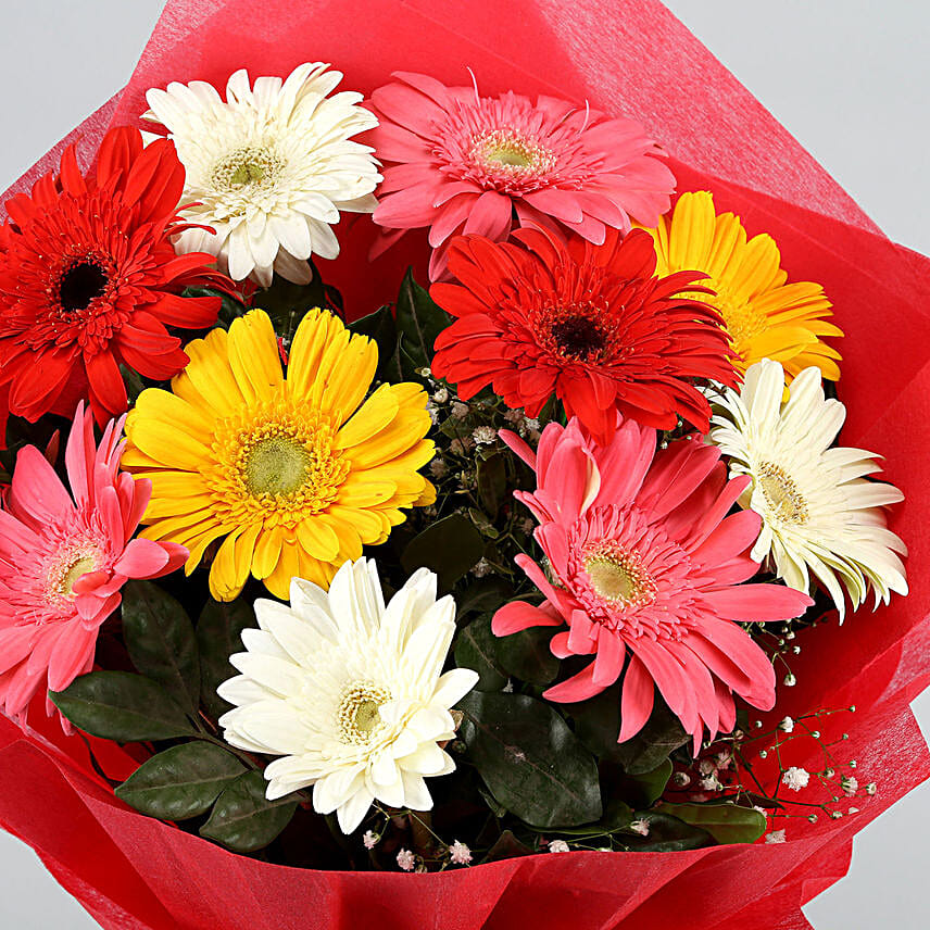 Mixed Coloured 6 Gerberas Bouquet