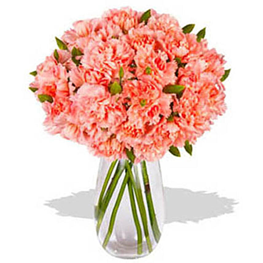 Orange Carnations