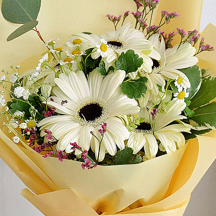 Peaceful White Gerberas Bunch