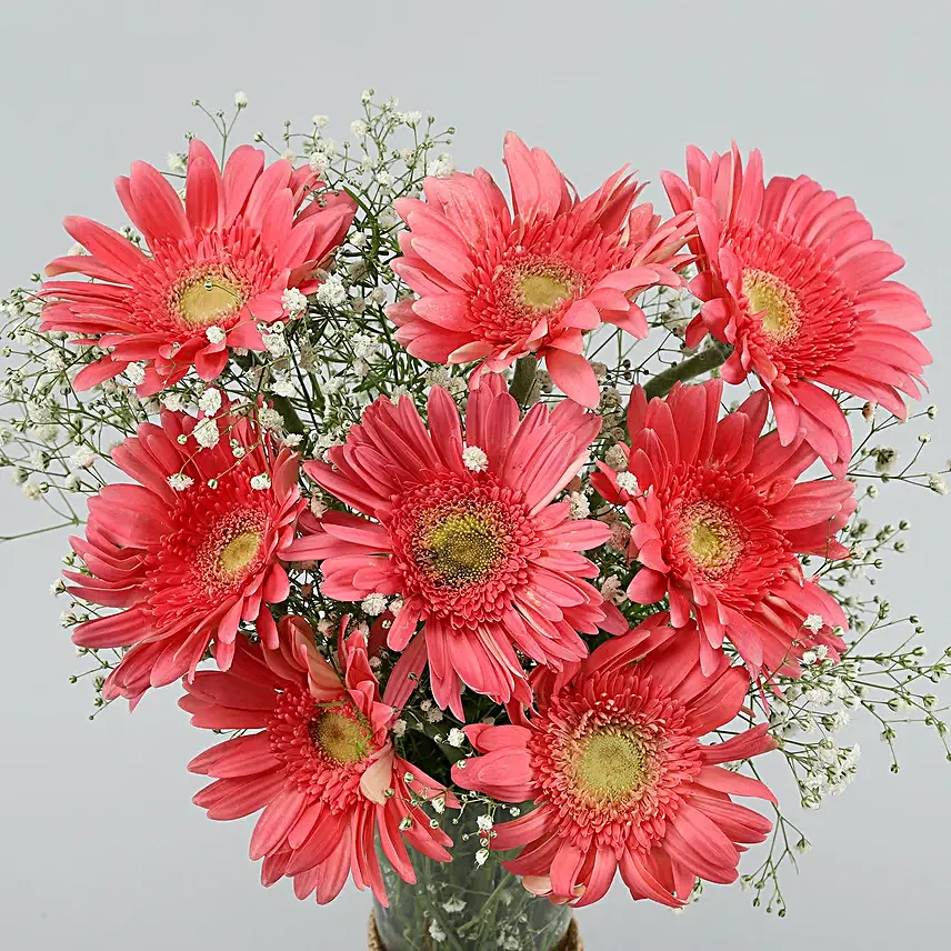 Pink Marvel Gerbera Vase