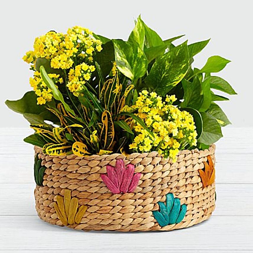 Sunshine And Joy Wooden Trug