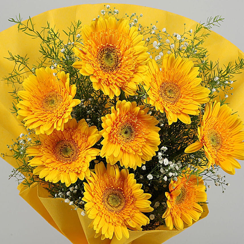 Yellow Mystique 6 Gerbera Blossoms