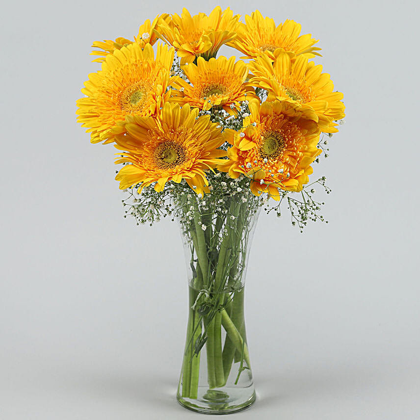 Yellow Mystique Gerbera Vase
