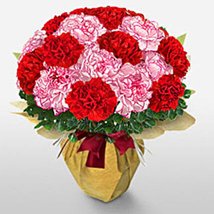 Brilliant Love:Carnations Flowers Delivery Philippines