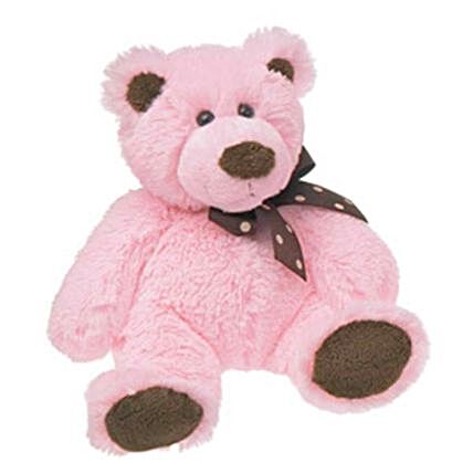 Pink Teddy With Brown Details