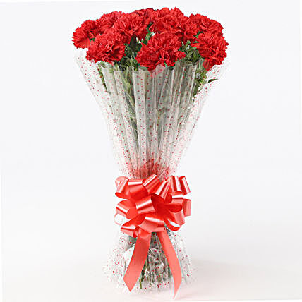 10 Elegant Red Carnations Bouquet