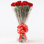 10 Elegant Red Carnations Bouquet