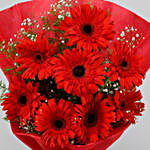 6 Red Elegance Gerbera Blossoms