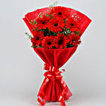 6 Red Elegance Gerbera Blossoms