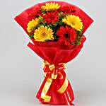 Glorious Red Yellow 3 Gerbera Blossoms