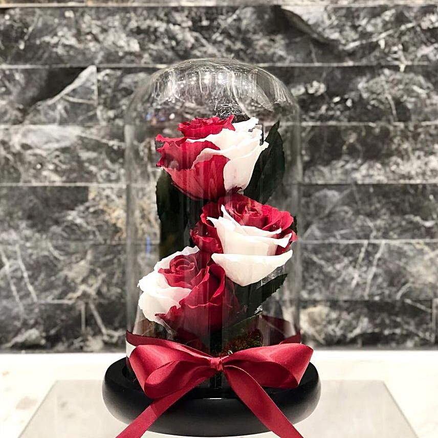 Qatar Roses In Glass Dome Vase